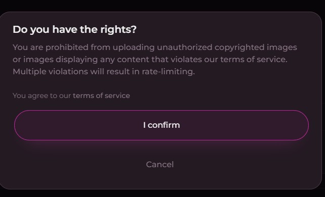 Seduced AI 'Do you have the rights?' modal warning against uploading unauthorized copyrighted or non-consensual images